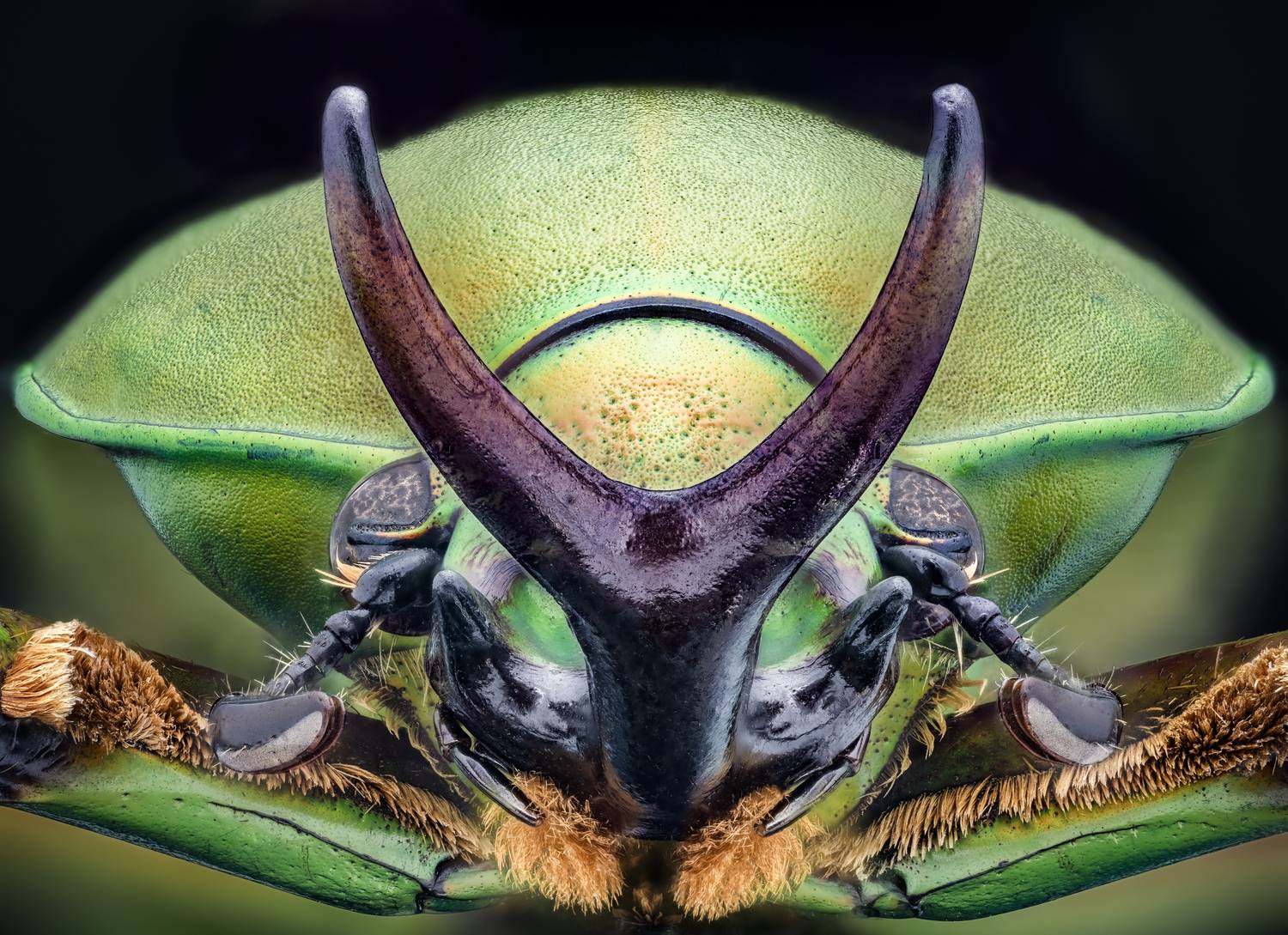 Фотография #12278359