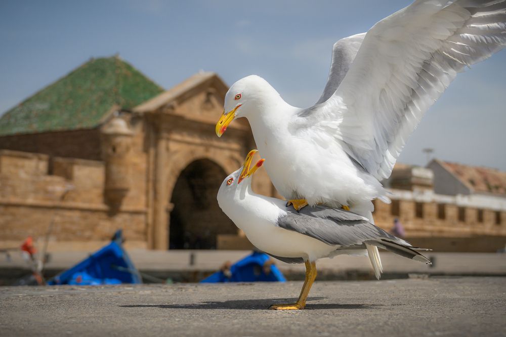 Фотография автора Kaznov Stanislav