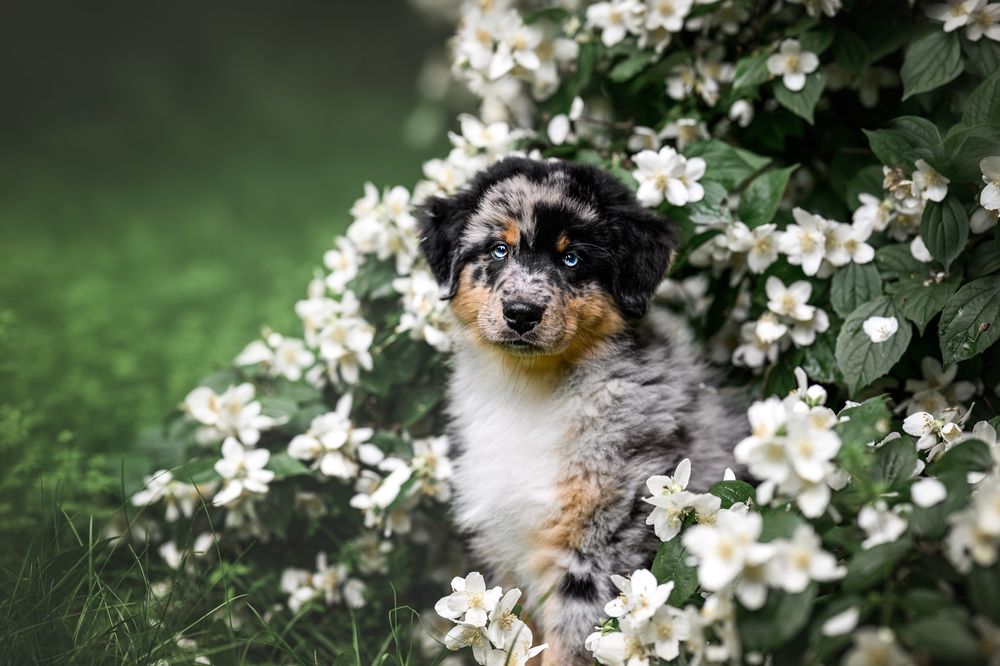 Photograph by Lucie Nermuťová