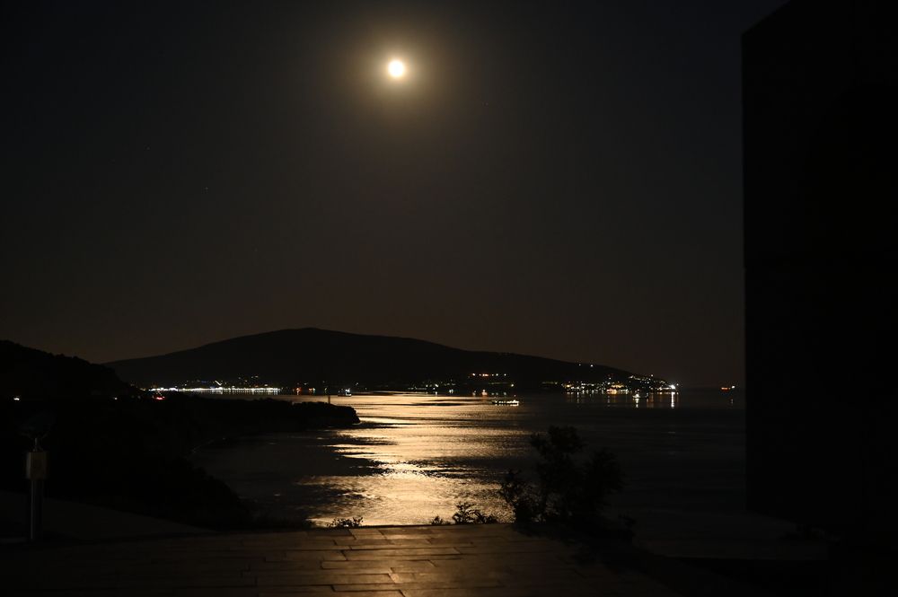 Photograph by Ксения Щербань