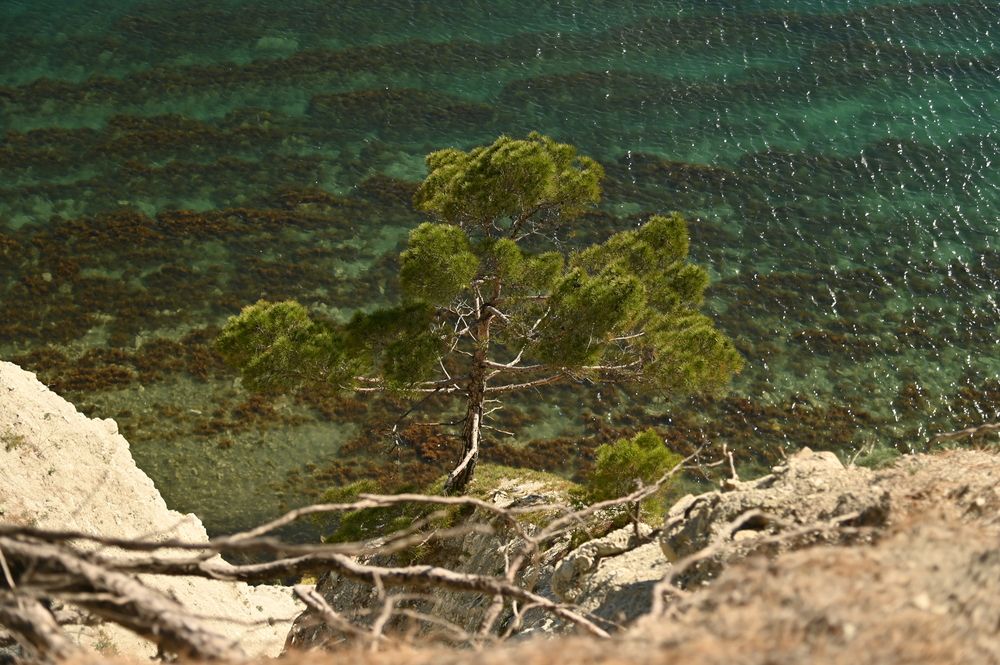 Photograph by Ксения Щербань