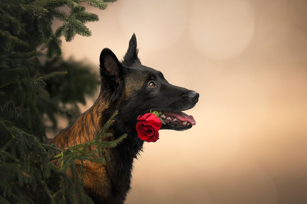 Photograph by Lucie Nermuťová