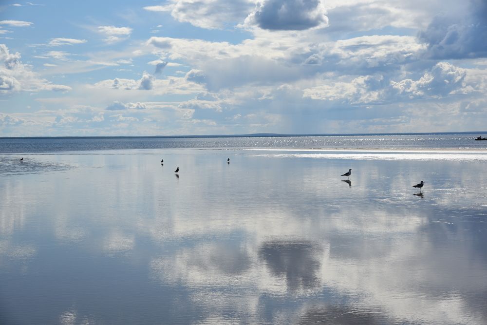 Photograph by Ольга Струкалина