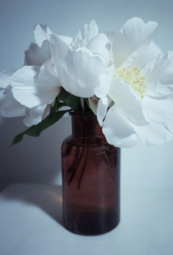 Photograph by Елена Гусева