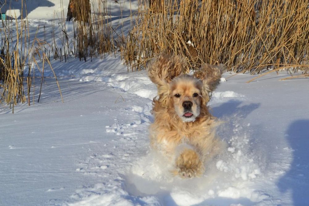 Photograph by Анна Кулакова