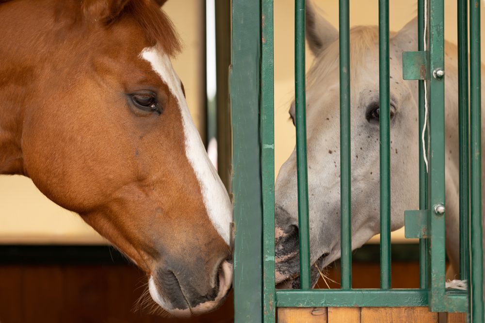 Фотография автора Наталья Герцен
