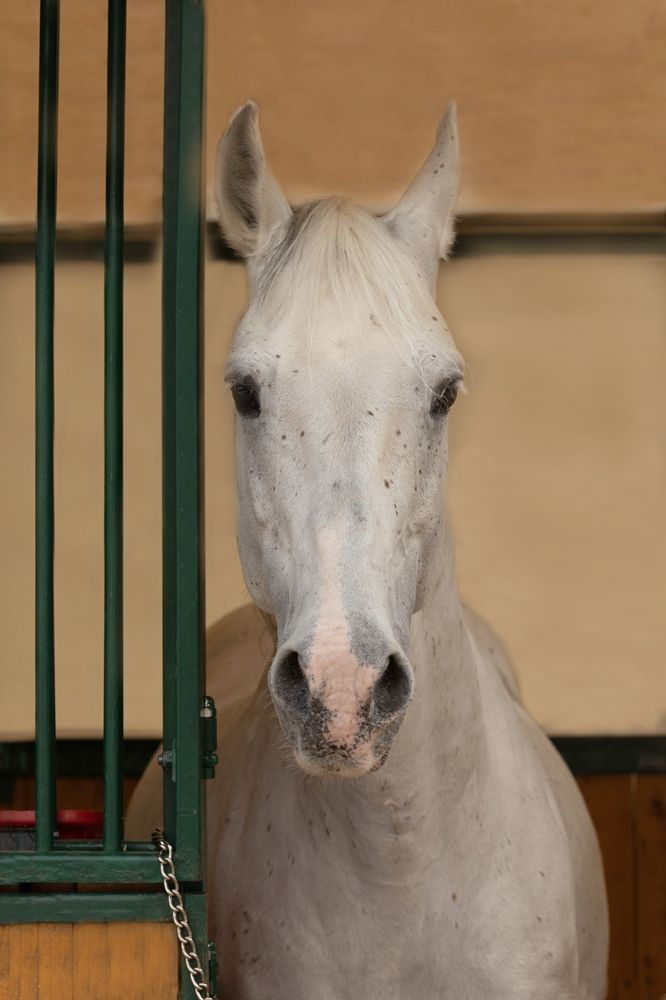 Фотография автора Наталья Герцен