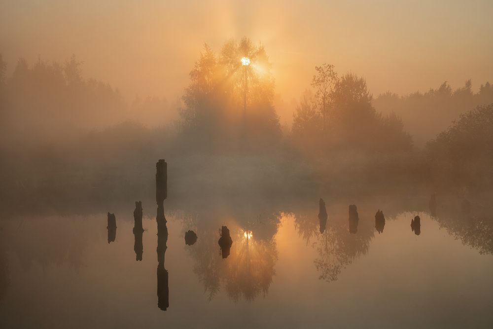 Photograph by Нерозя Александр