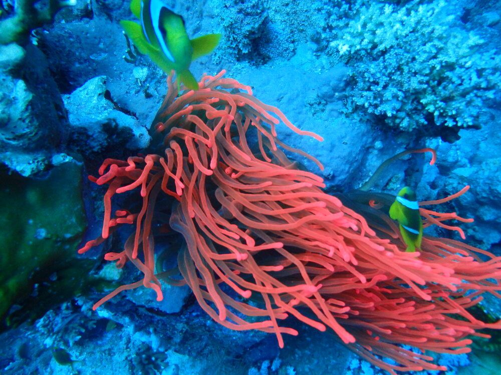 Photograph by DUBINA LEONID