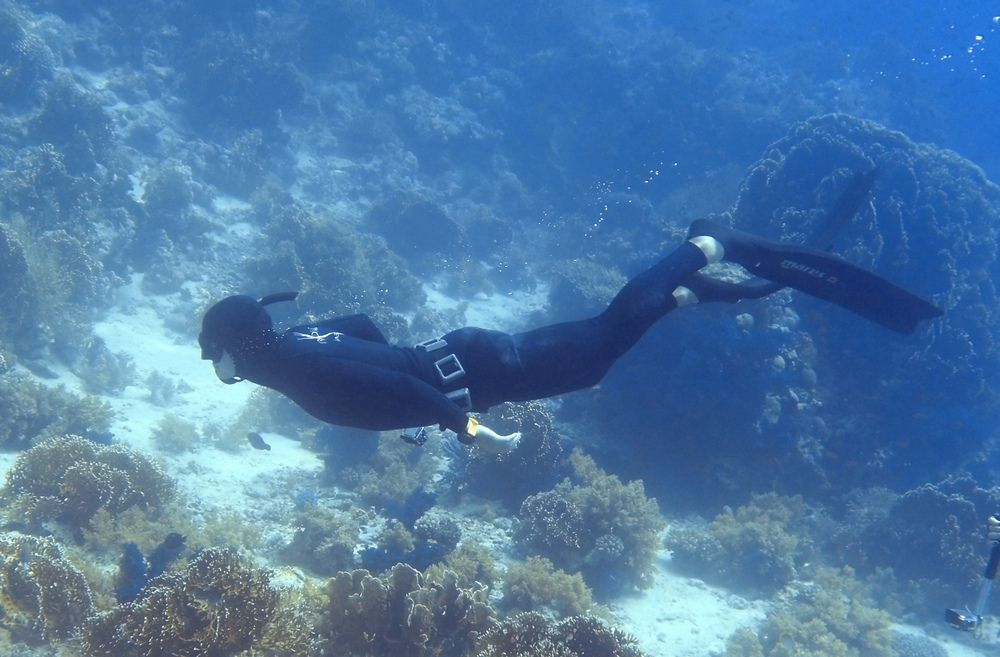 Photograph by DUBINA LEONID