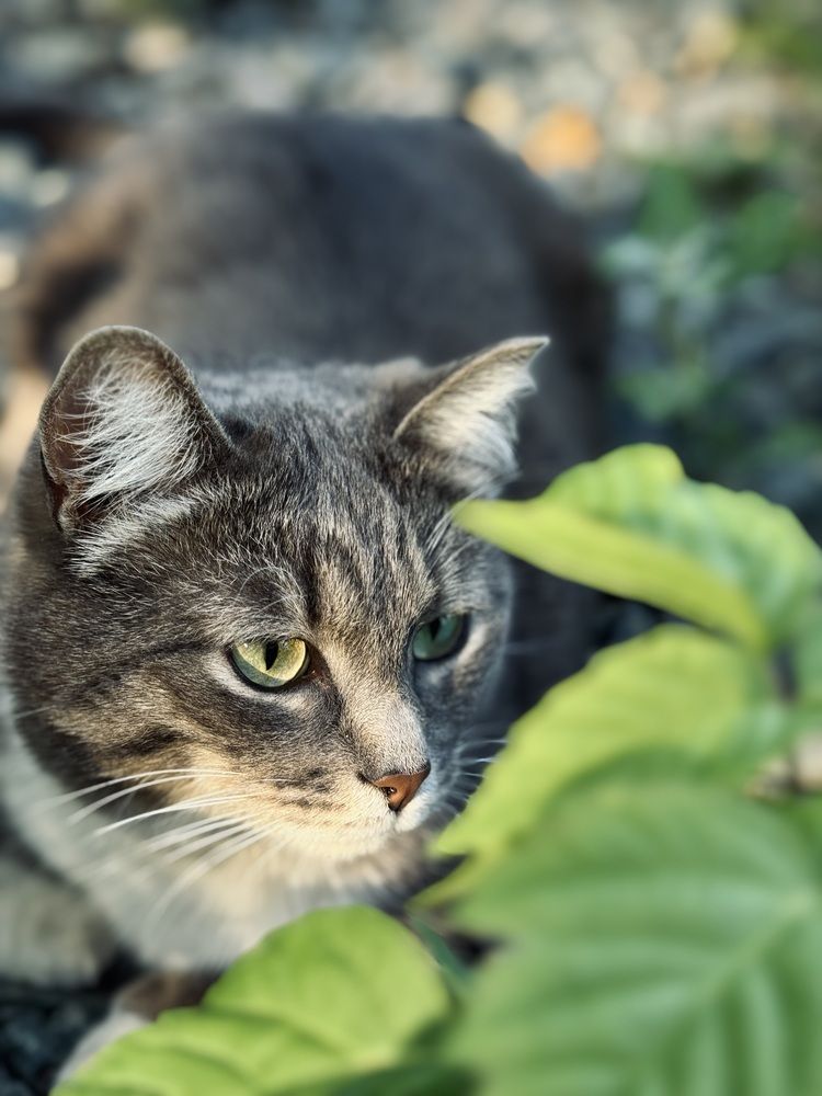 Photograph by Алёна Стародубцева