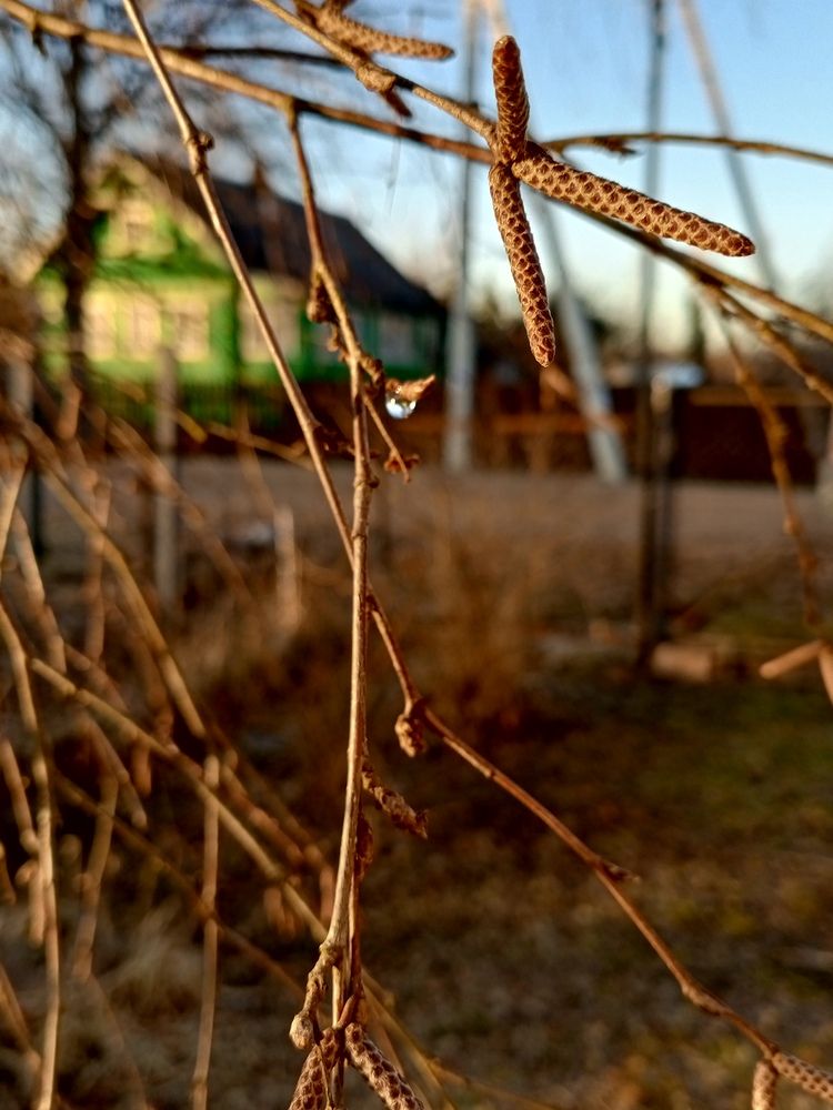 Photo #12278709