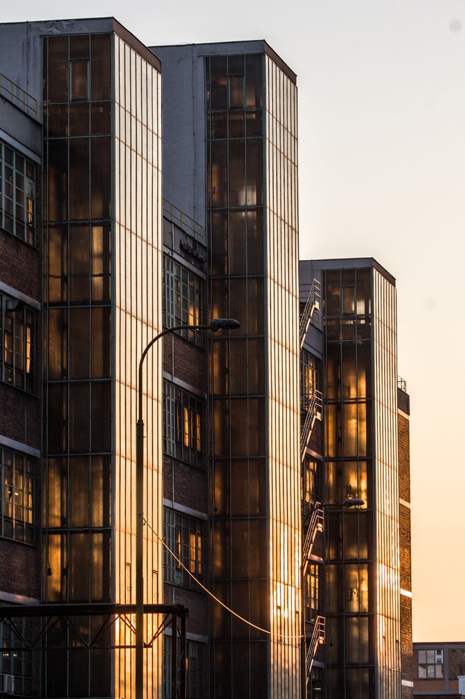 GOLDEN TOWER