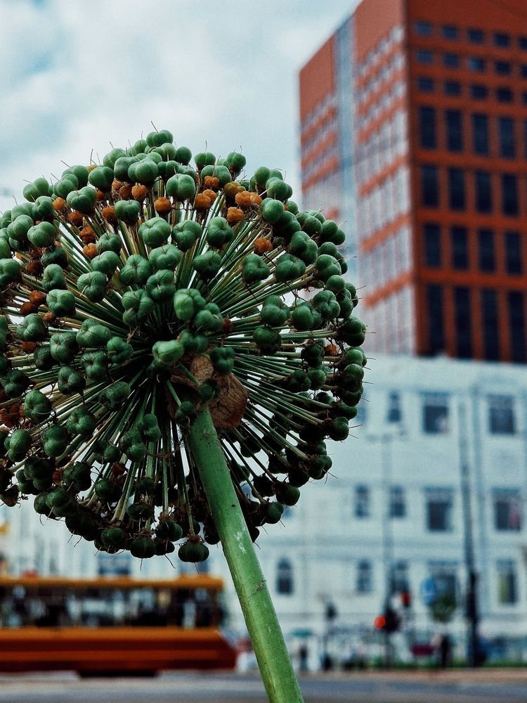 Фотография автора Maryna Pytliak