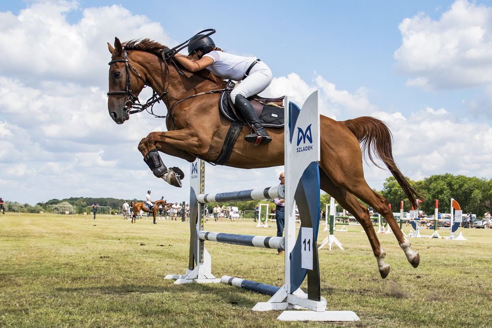 Photograph by Zsuzsa Décsi