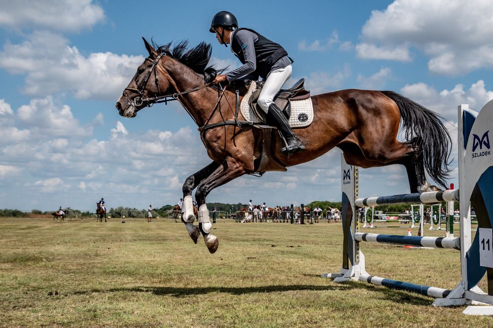 Photograph by Zsuzsa Décsi