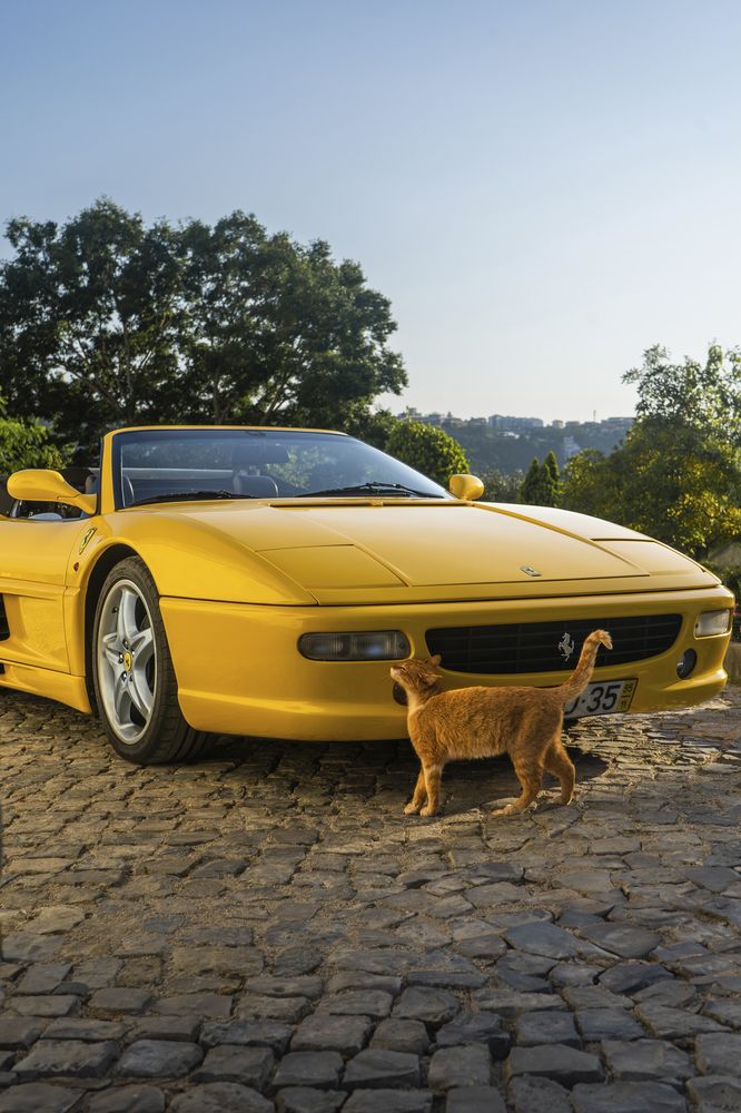 Photograph by Евгений