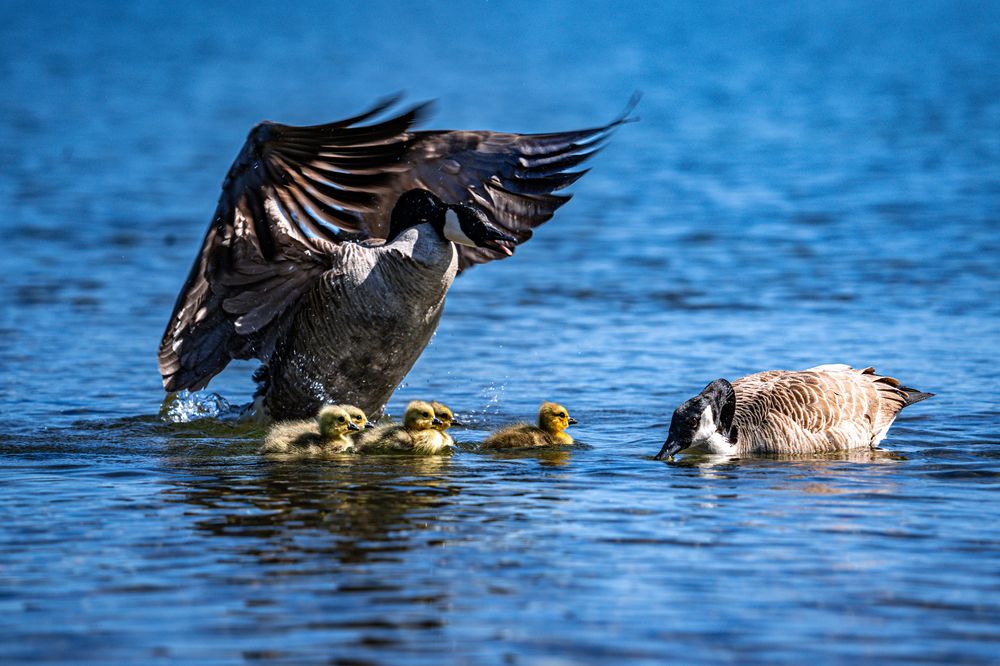 Photograph by Athul Konikkara