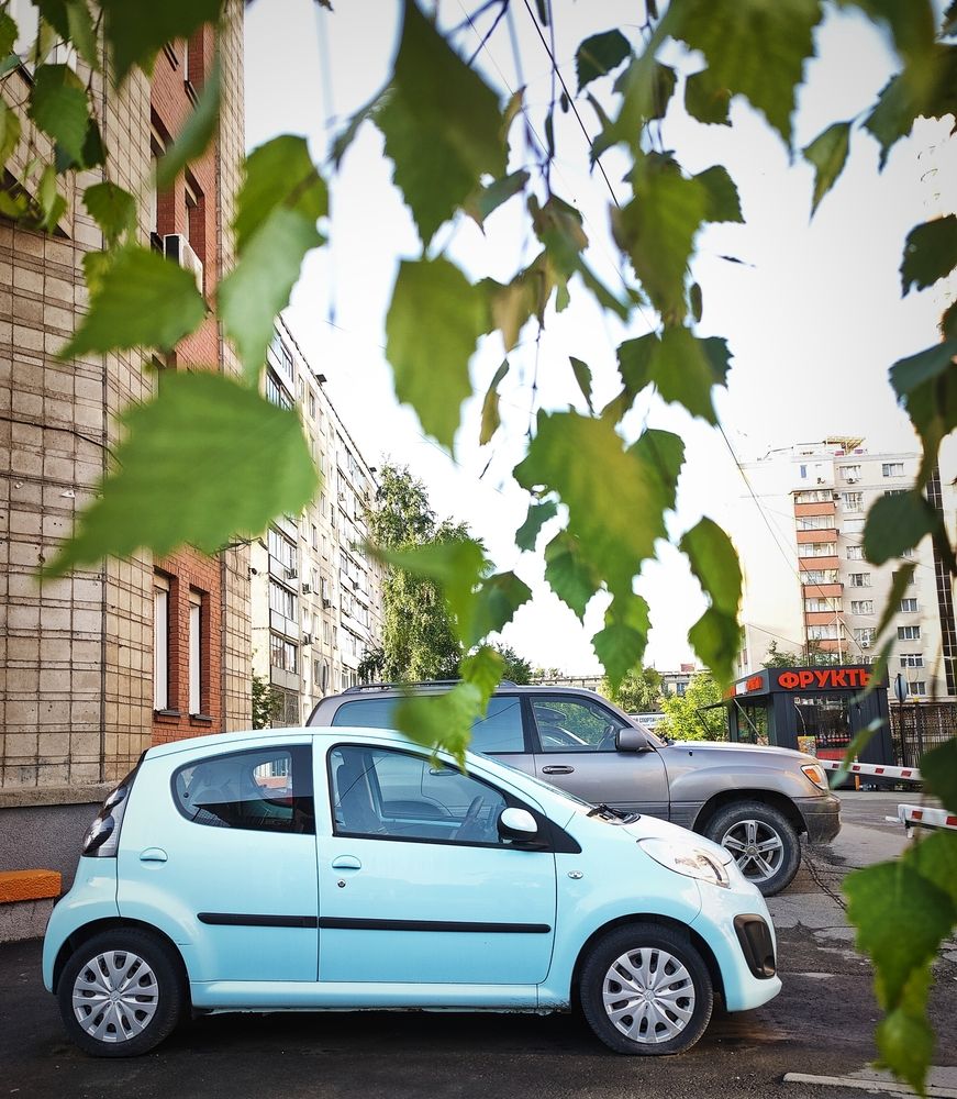 Photograph by Olena Chertous