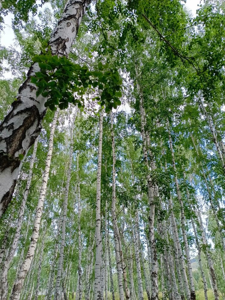 Photograph by Дина Даутова