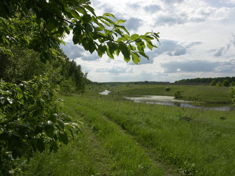 Photograph by Игорь Шевердин
