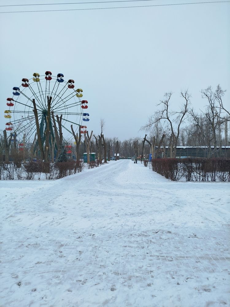 Photograph by Елизавета