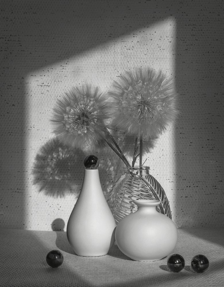 Photograph by Людмила Прибылова