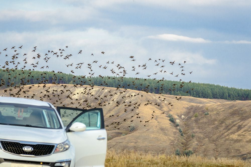 Photograph by Владислав Никишин