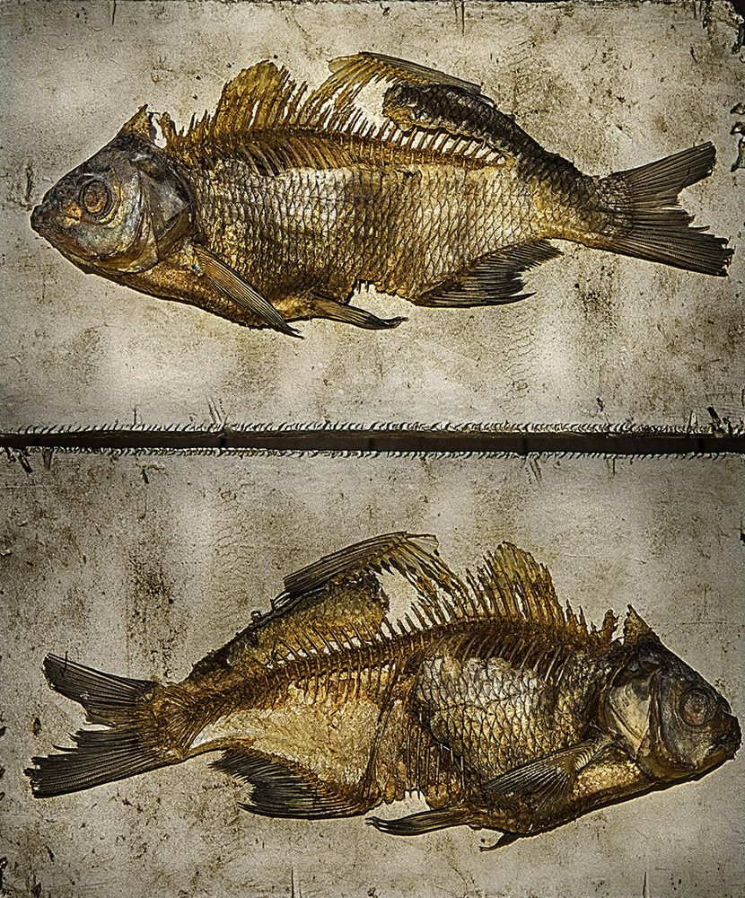 Photograph by Борис Кравецкий