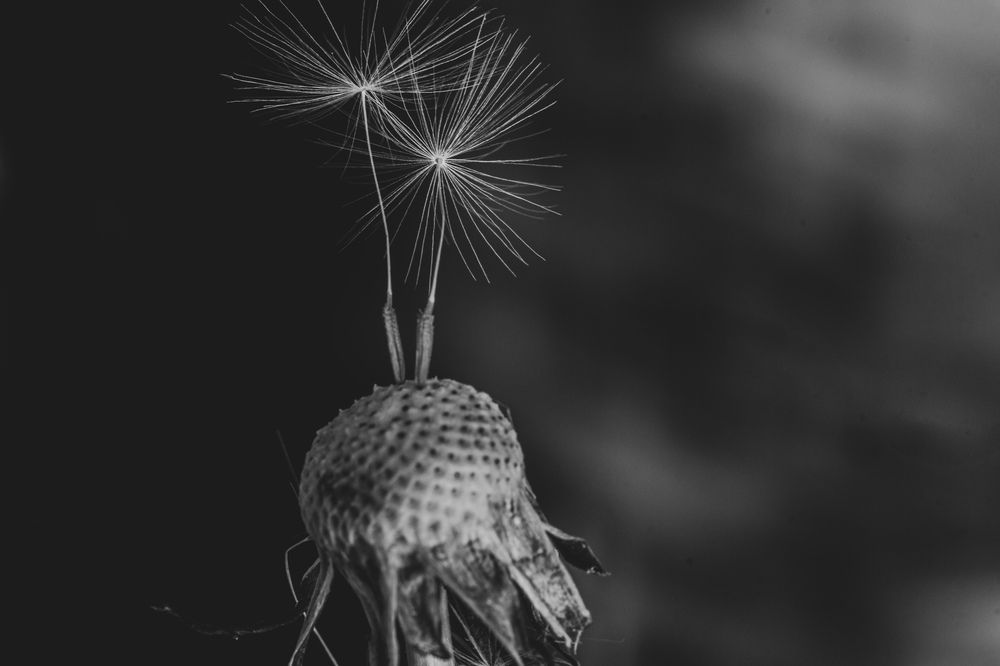 Photograph by Виталий Маслов