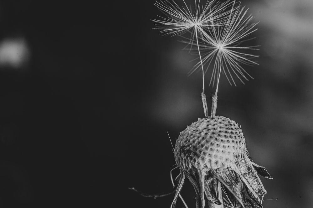 Photograph by Виталий Маслов