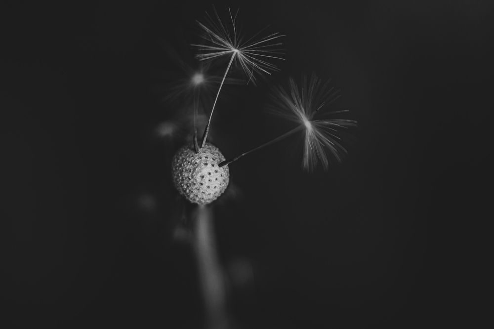 Photograph by Виталий Маслов