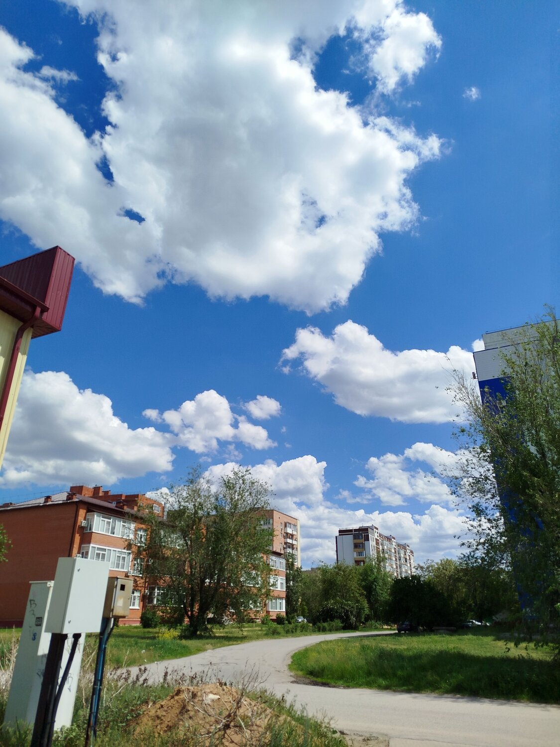 Photo #12279496