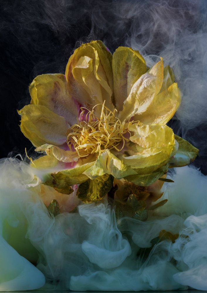Photograph by Ivanova Inga