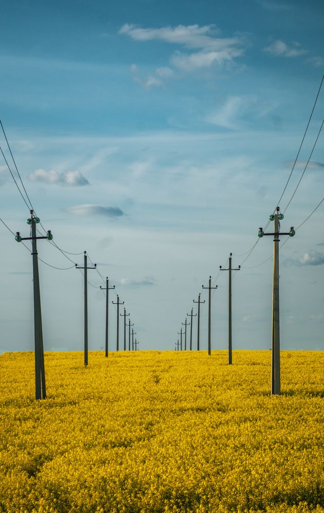 Photograph by Геннадий Ломеко