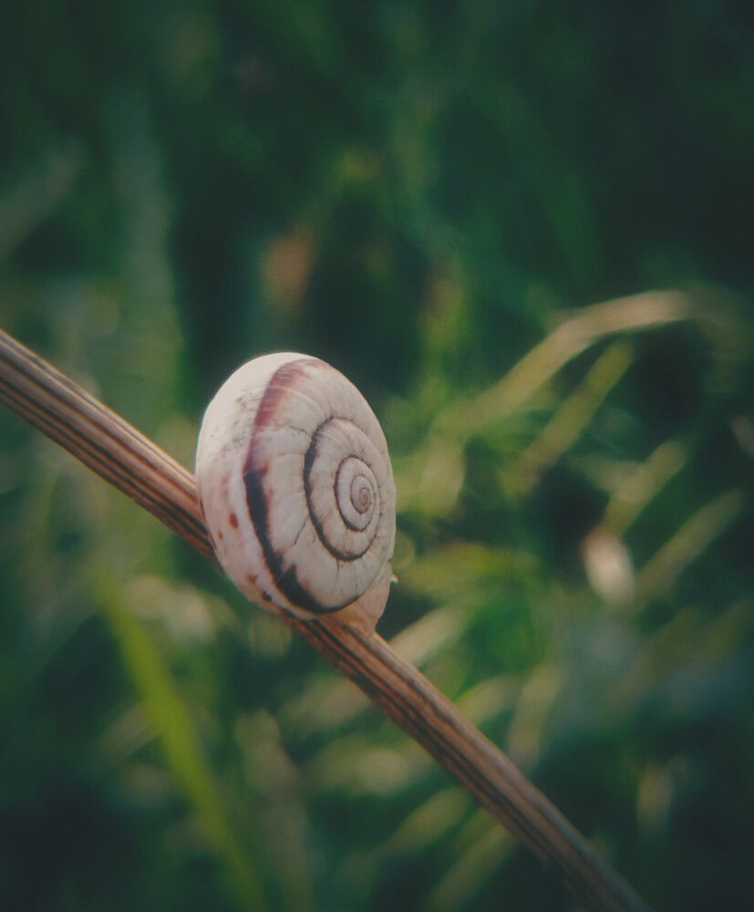 Photograph by Елена (Reed) Кузнецова