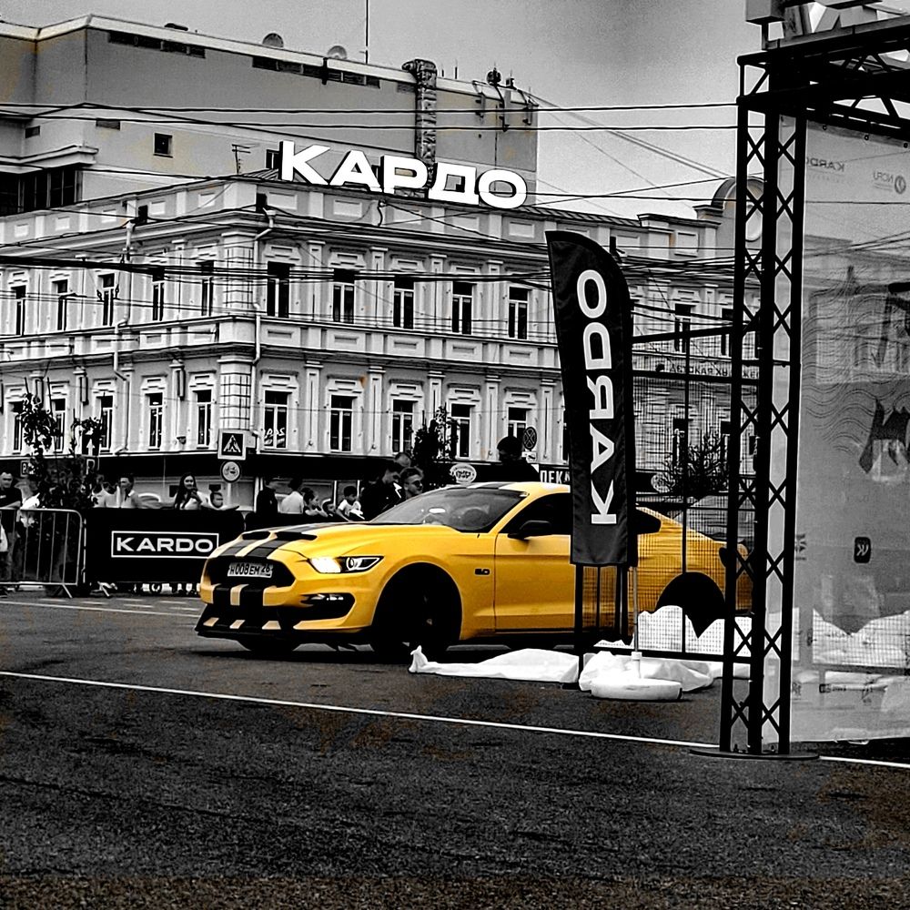 Фотография автора Ксения Рыбалко