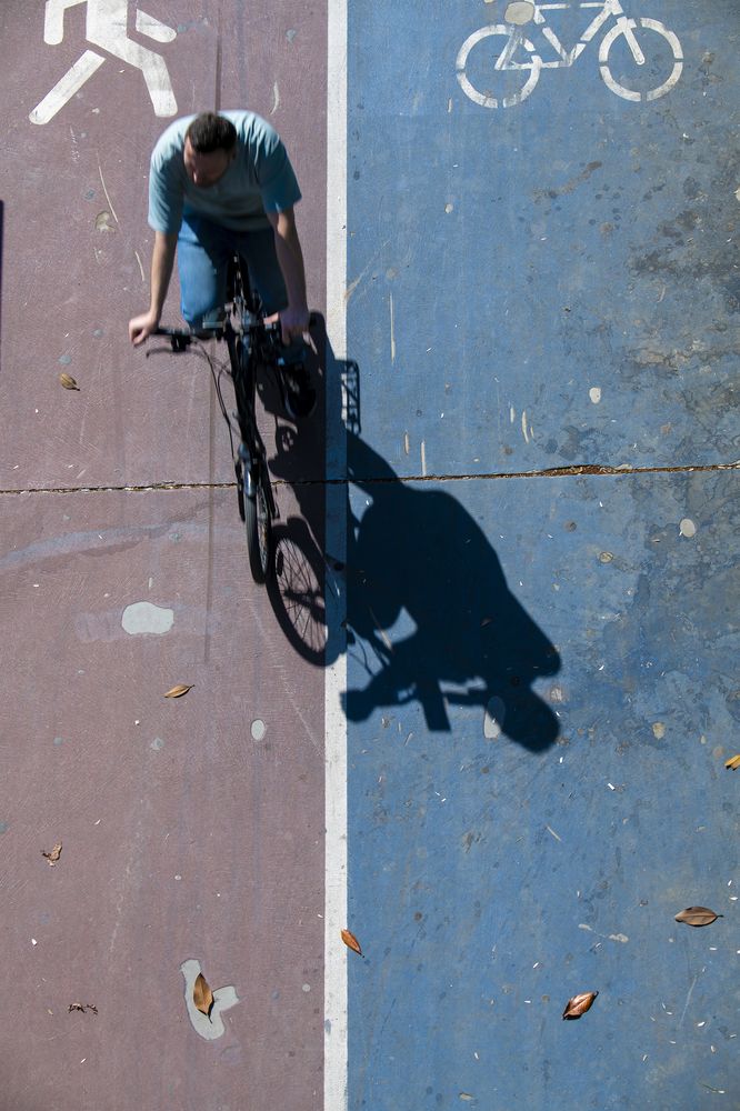 The Shadow