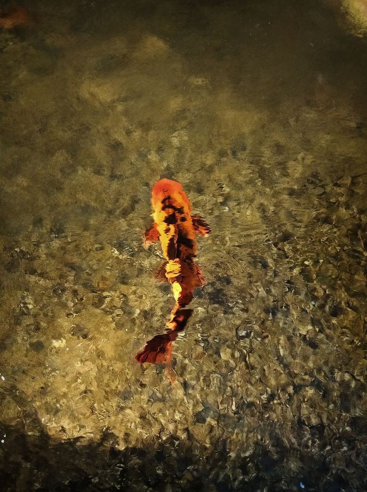 Photograph by Ольга Мартьянова