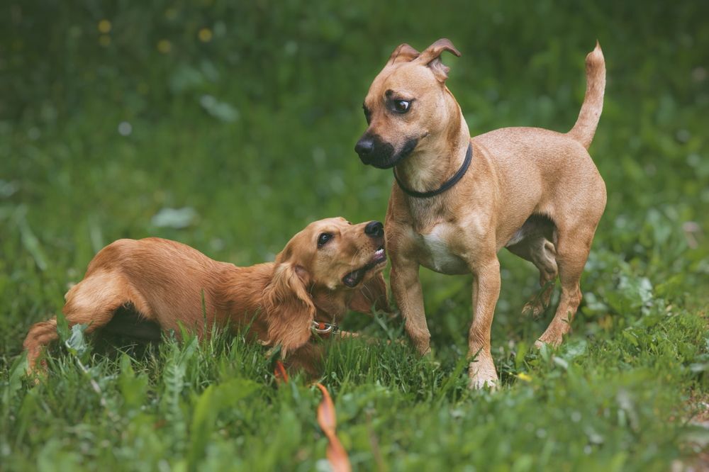 Photograph by Анастасия Арбузова