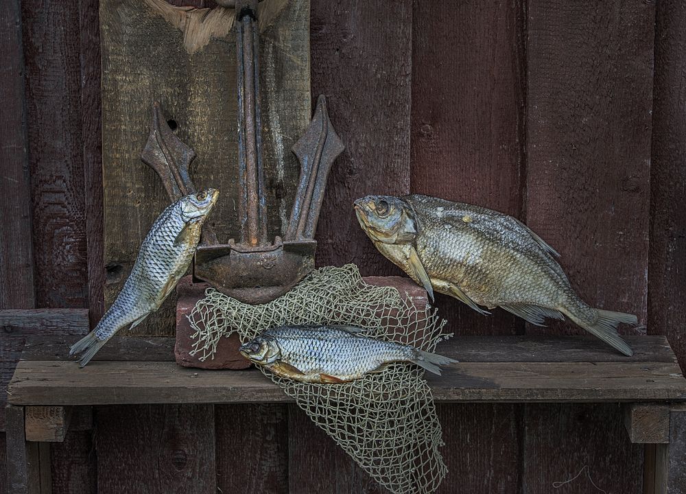 Photograph by Борис Кравецкий