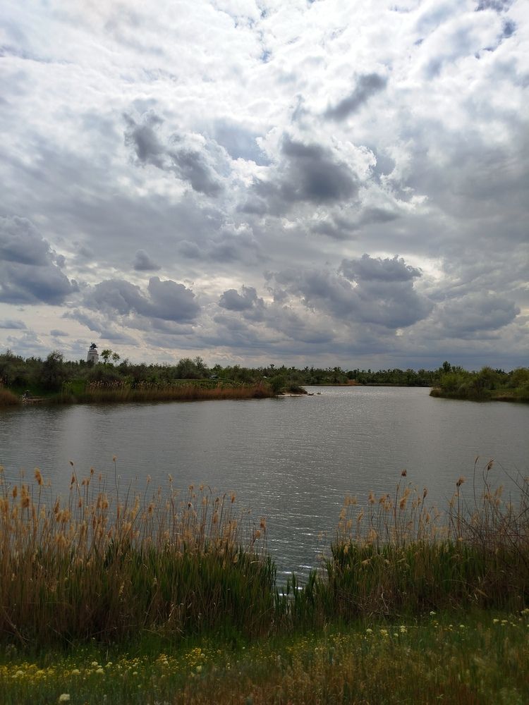 Photograph by Слесарева Елизавета