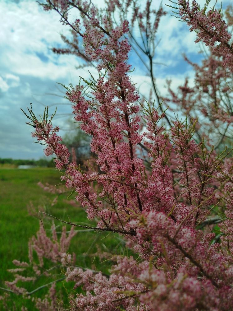 Photograph by Елизавета