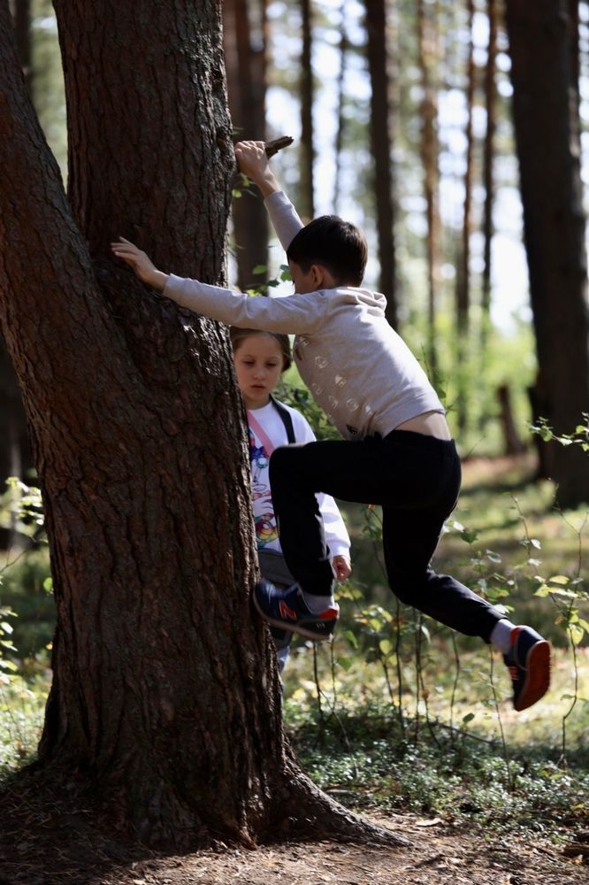 Photograph by Одаренко Ольга