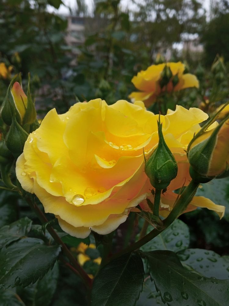 Photograph by Светлана Смирнова