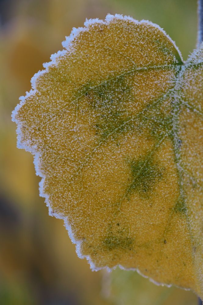 Photograph by Владимир Кирсанов