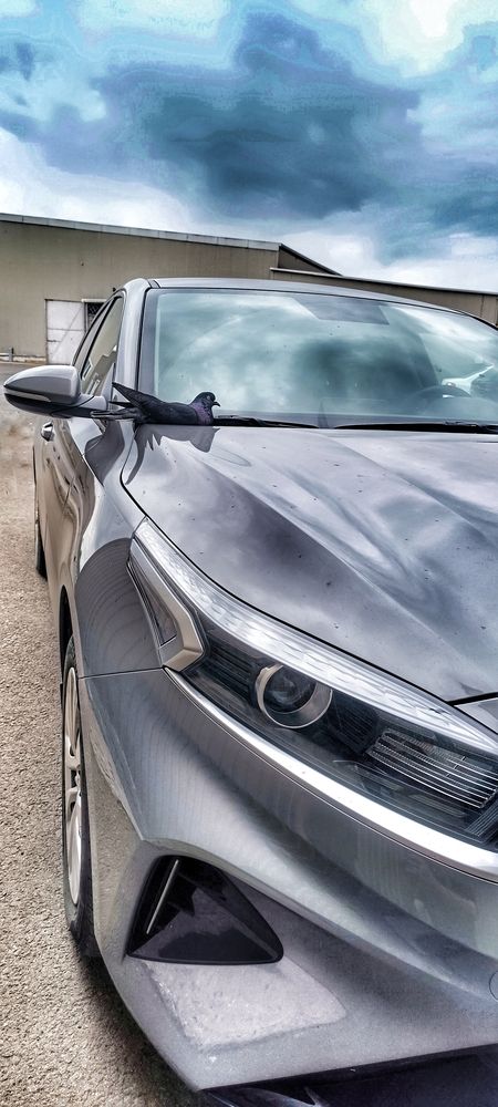 Photograph by Валентин Волк