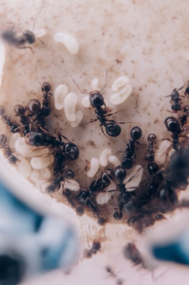 Photograph by Екатерина Бердутина