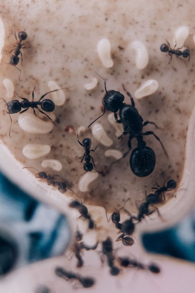 Photograph by Екатерина Бердутина