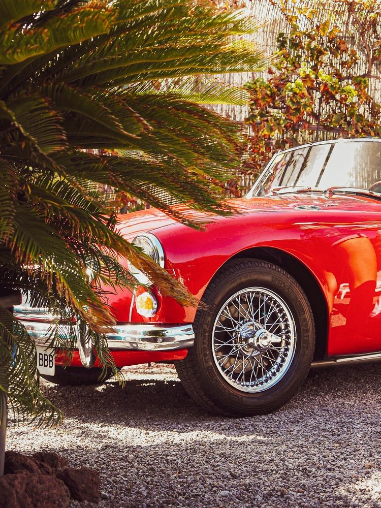 Photograph by Aleksandra Sawczenko